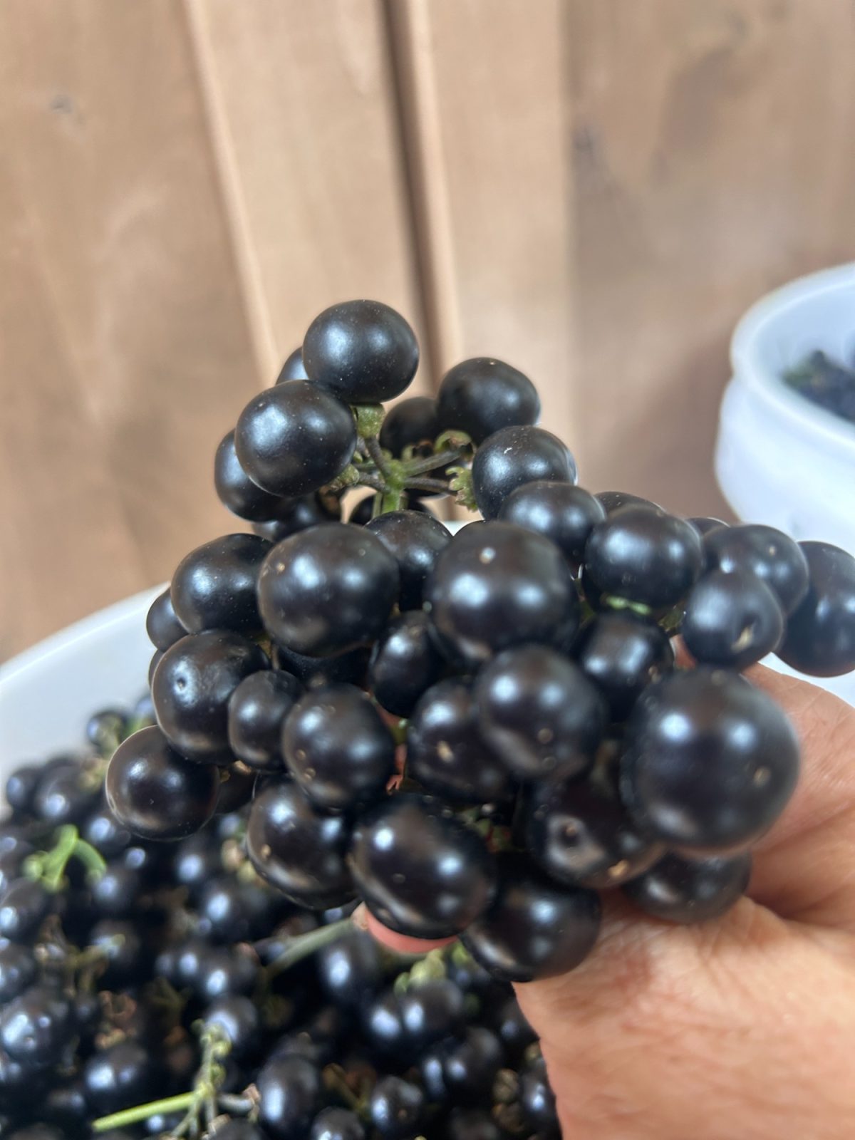 Raw Honey and Huckleberry